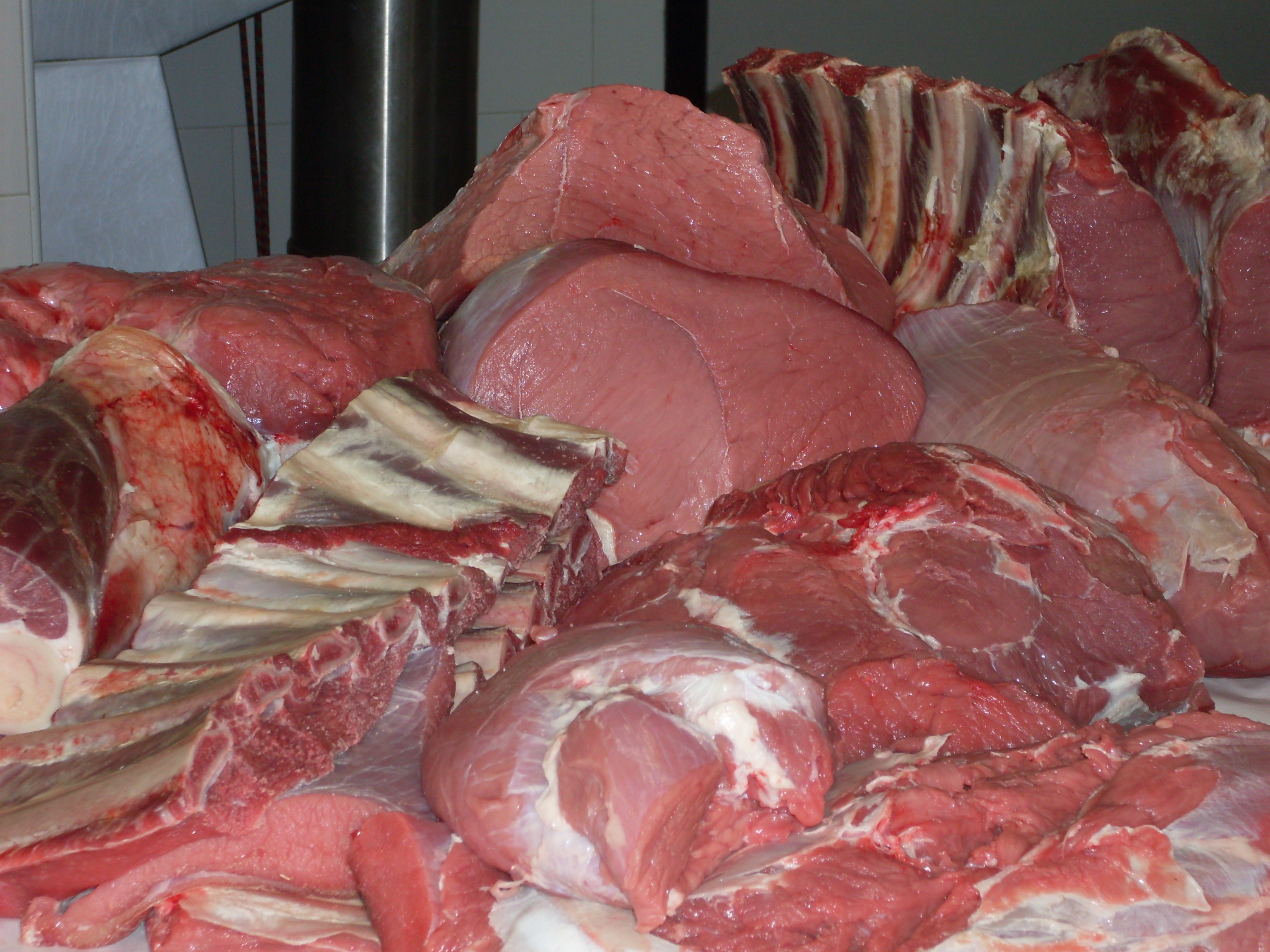 foto_carne_11_2009_016.jpg