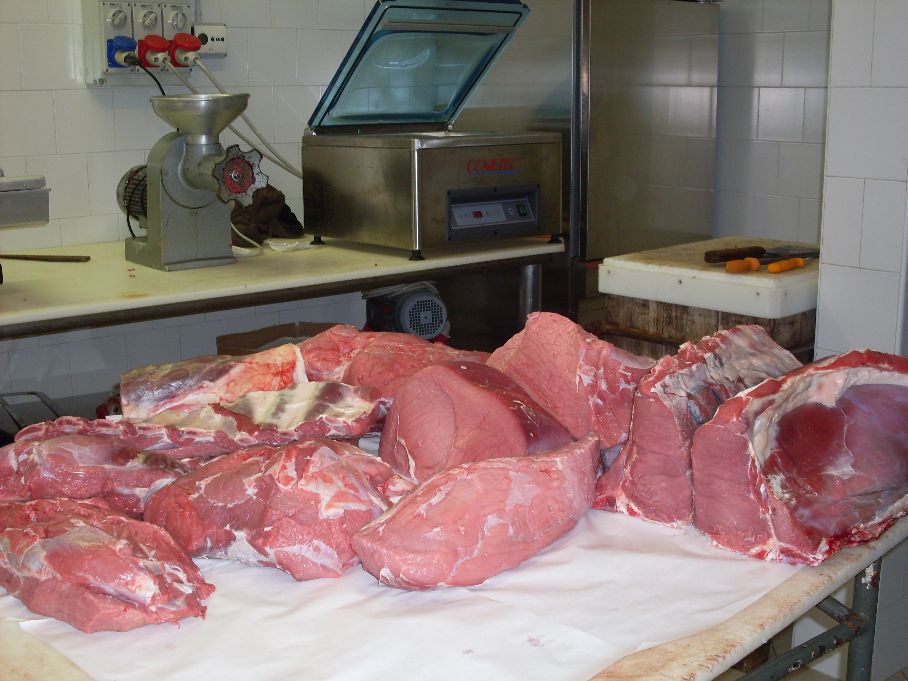 foto_carne_11_2009_019.jpg